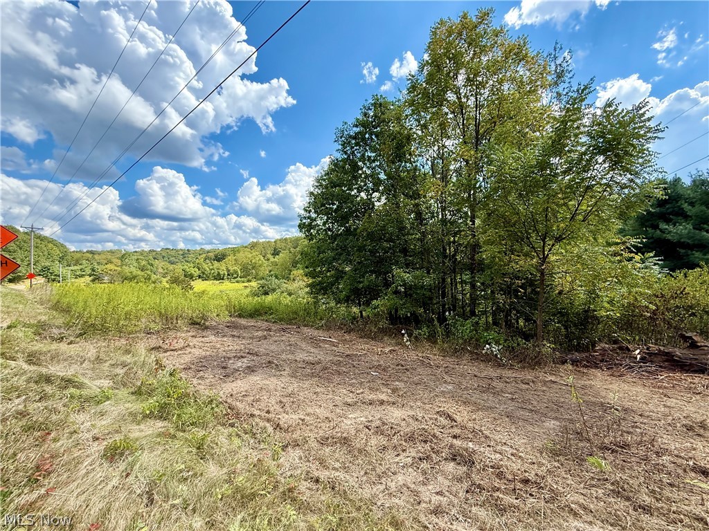 Aster Road Carrollton OH 44615