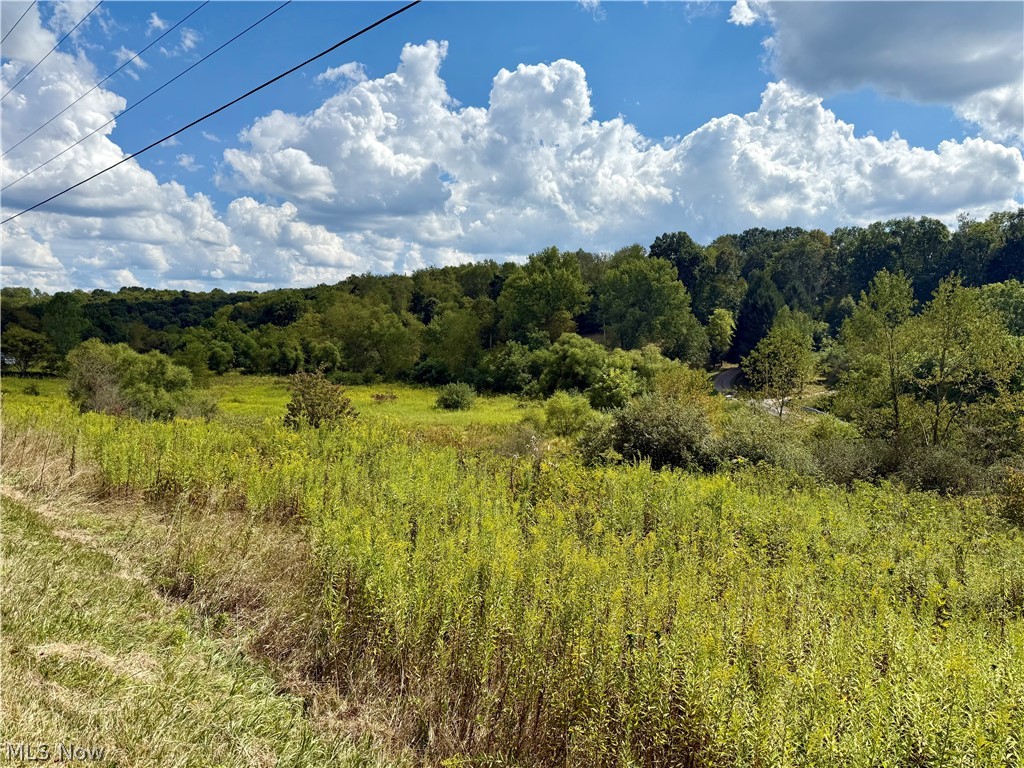 Aster Road Carrollton OH 44615