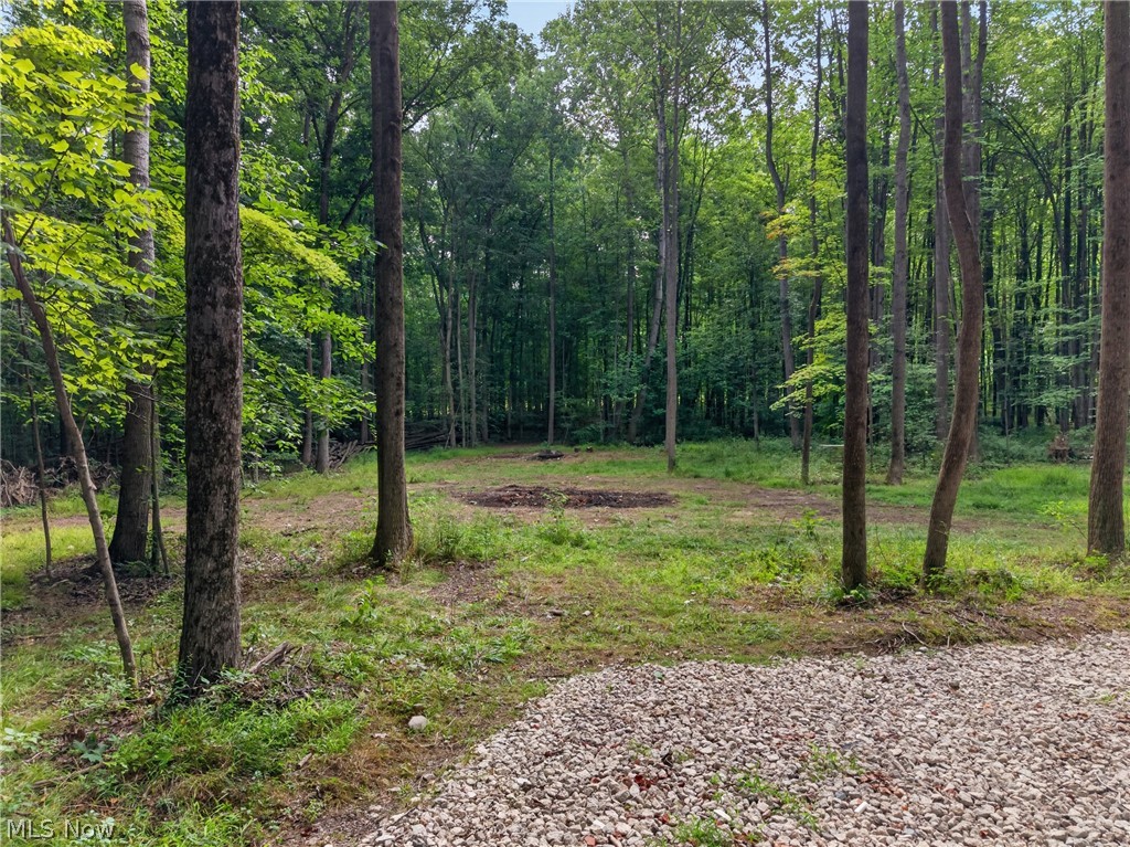 14493 Chillicothe Road Novelty OH 44072