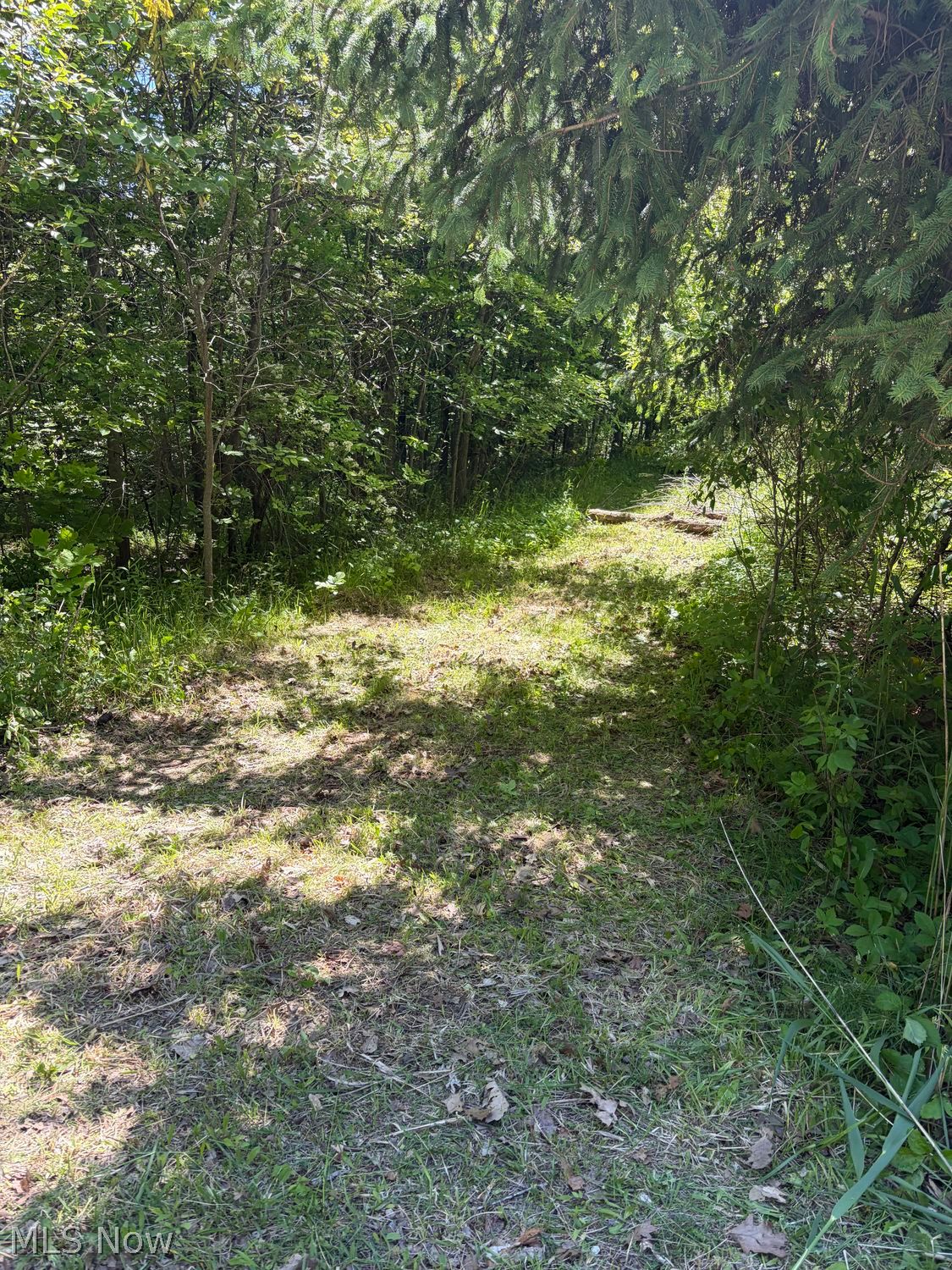 5153 Black Road Brecksville OH 44141
