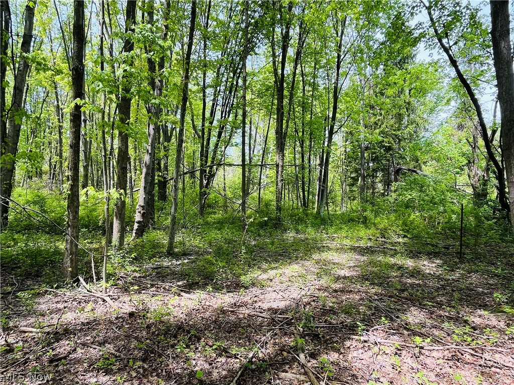 Bates Road Madison OH 44057