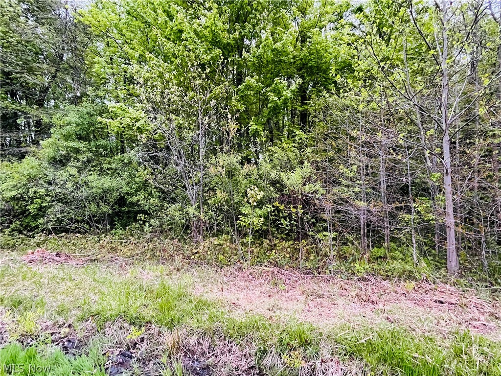 Bates Road Madison OH 44057