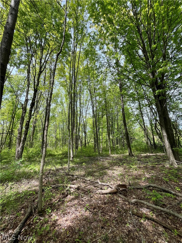Bates Road Madison OH 44057