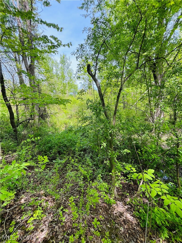 Bates Road Madison OH 44057