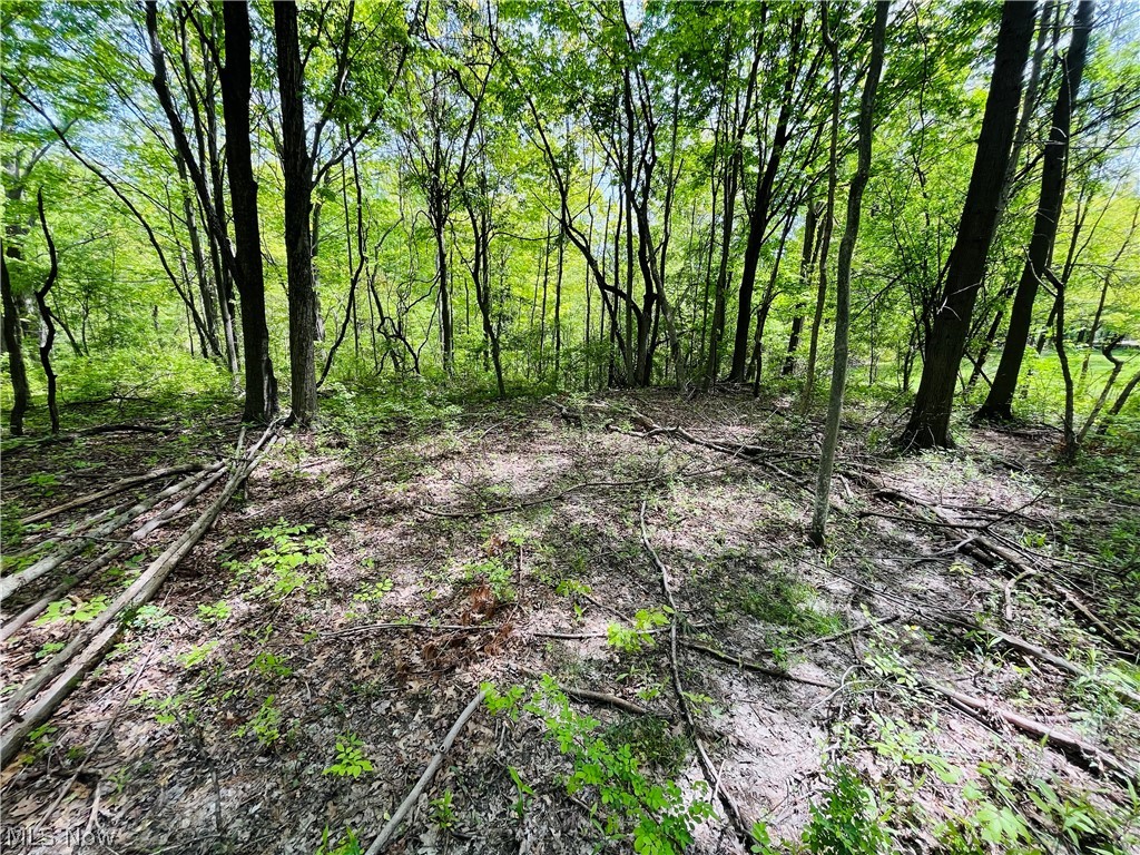 Bates Road Madison OH 44057