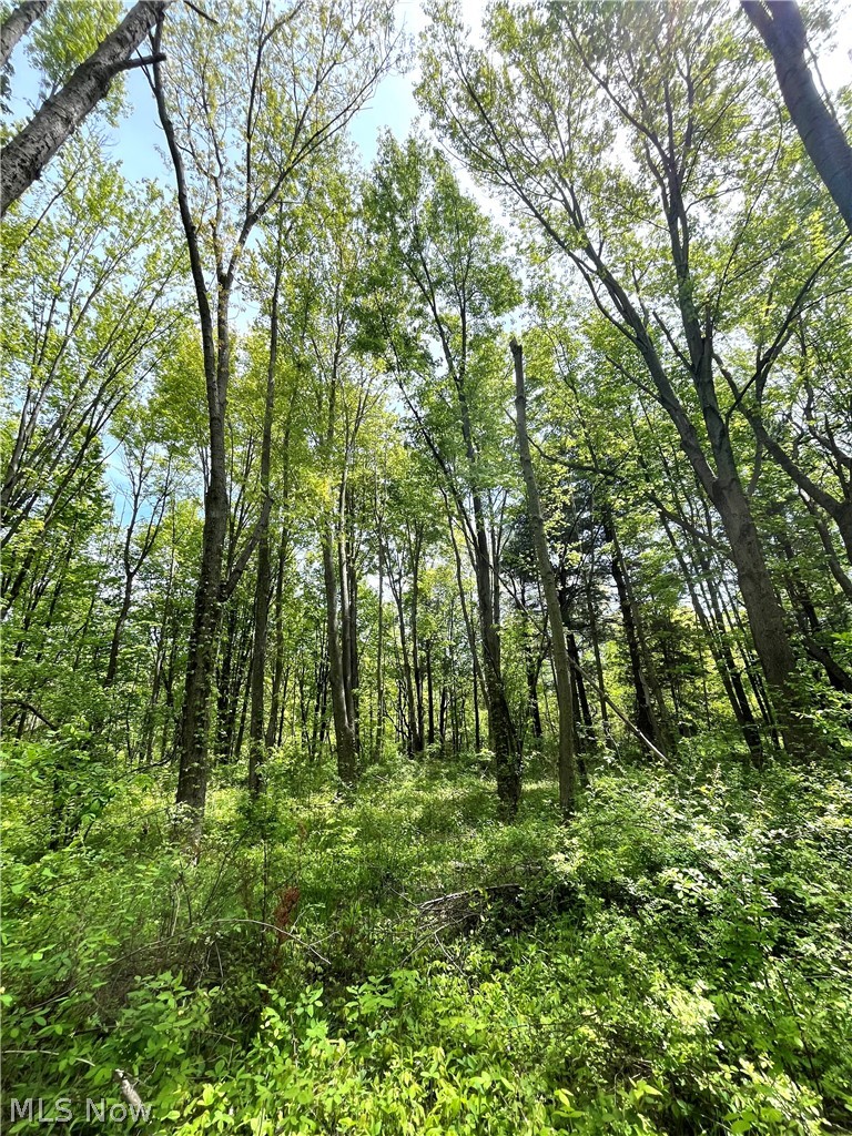Bates Road Madison OH 44057