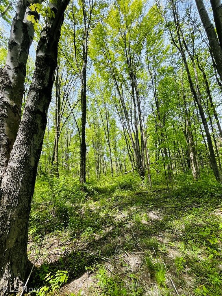Bates Road Madison OH 44057
