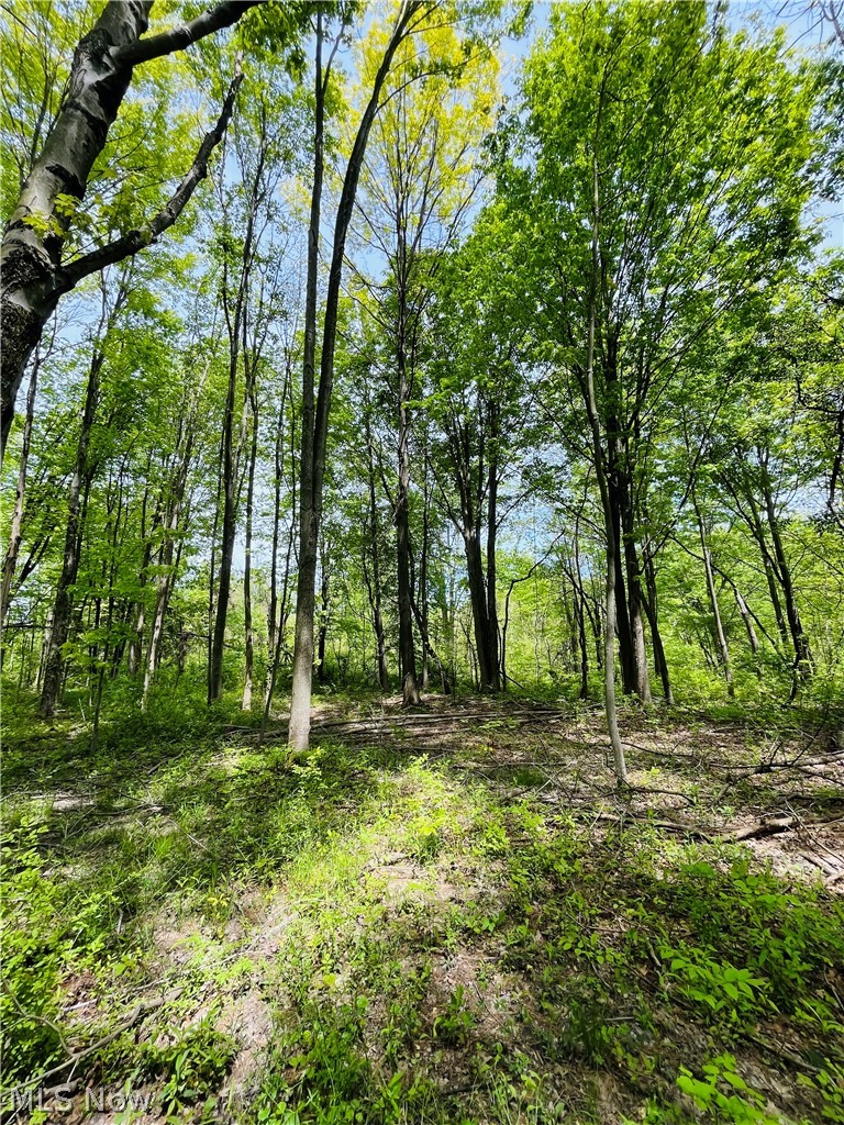 Bates Road Madison OH 44057