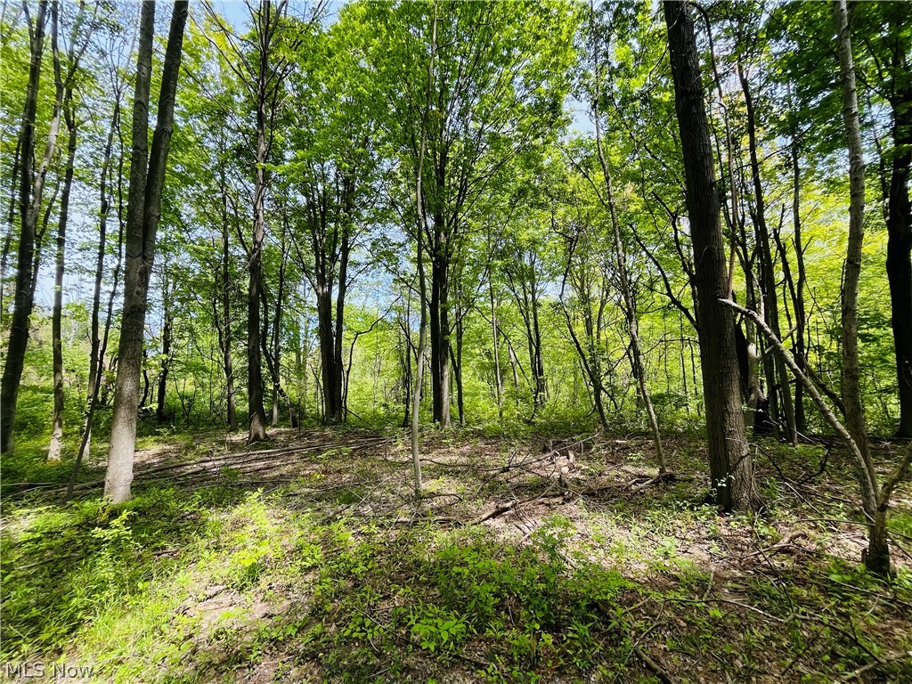 Bates Road Madison OH 44057