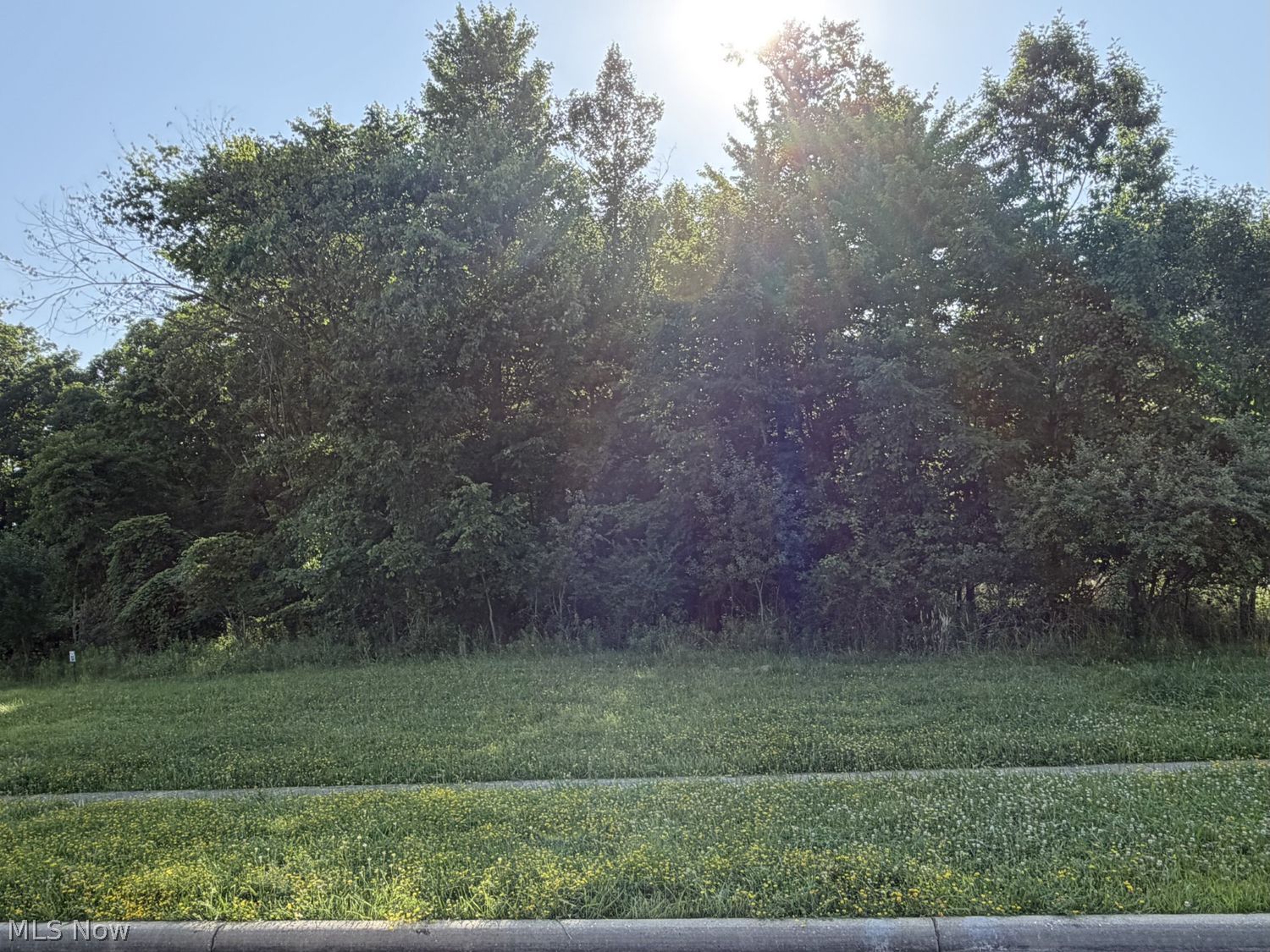 Lake Wobegon Drive Canfield OH 44406