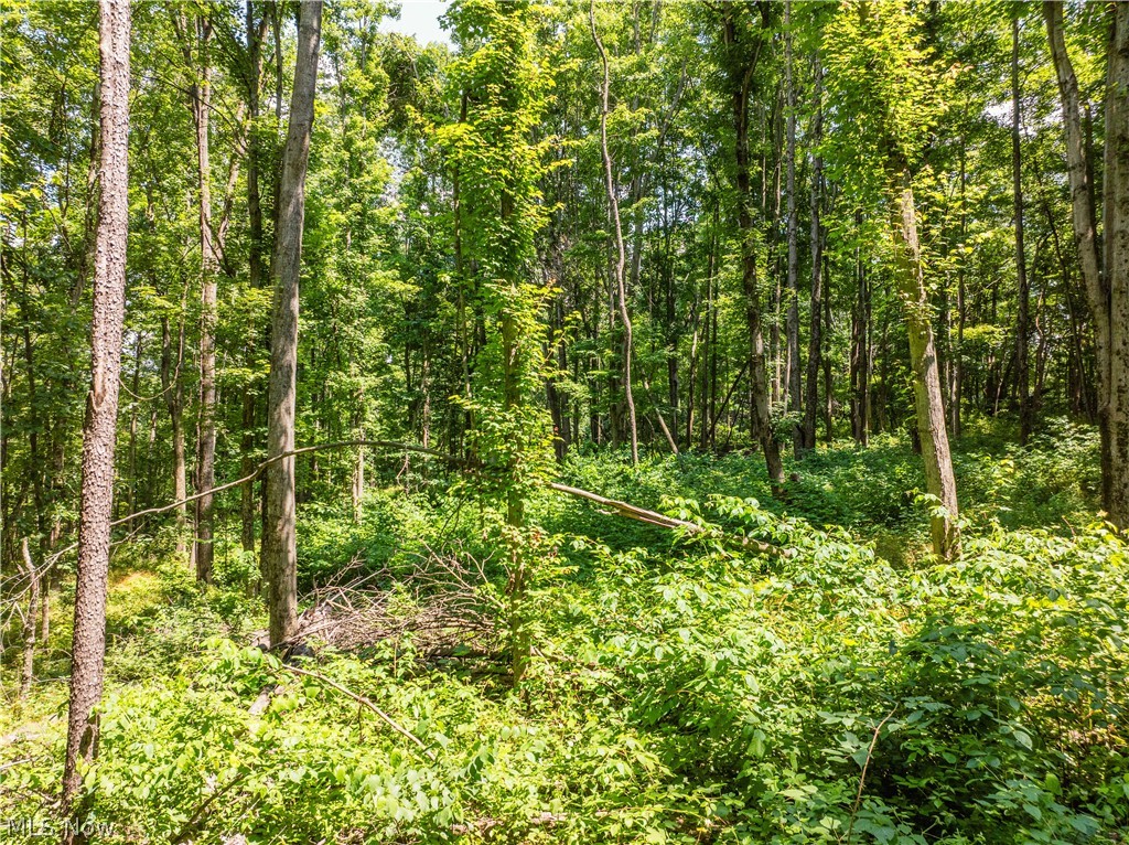 Lot 16 Township Road 51 Somerset OH 43783