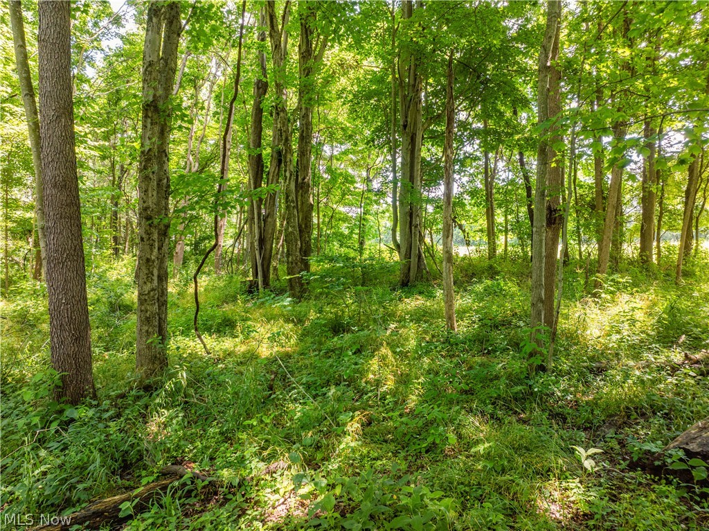 Lot 16 Township Road 51 Somerset OH 43783