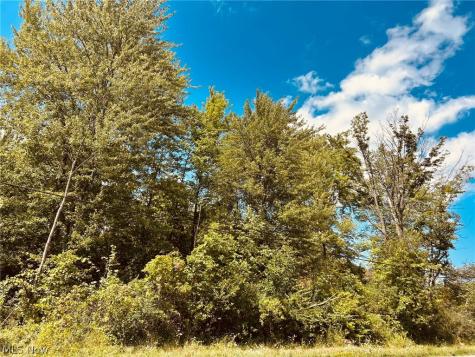 Lake Road Medina OH 44256