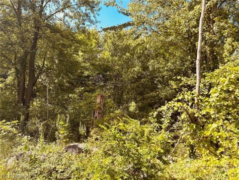 Lake Road Medina OH 44256