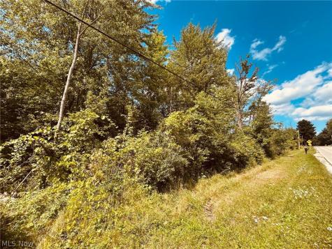 Lake Road Medina OH 44256