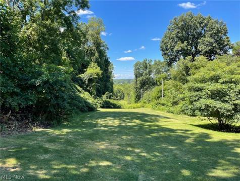Brownstone Avenue Akron OH 44310