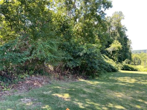 Brownstone Avenue Akron OH 44310
