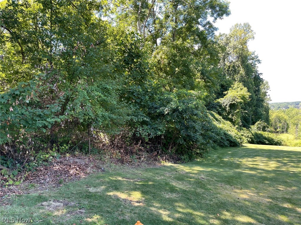 Brownstone Avenue Akron OH 44310