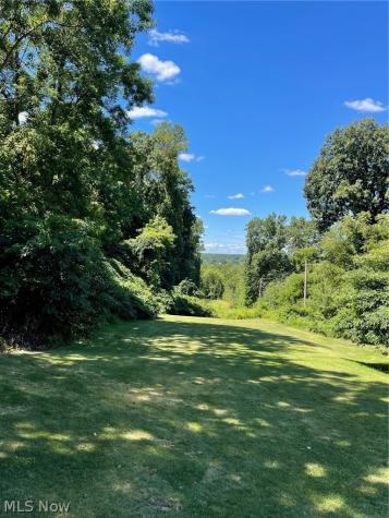Brownstone Avenue Akron OH 44310