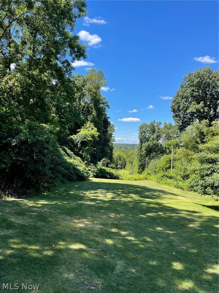 Brownstone Avenue Akron OH 44310