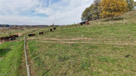 Kemary Avenue SW Navarre OH 44662