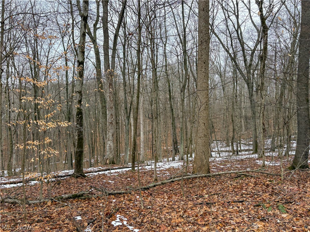 0 Tract 5 Mann Road Graysville OH 45734