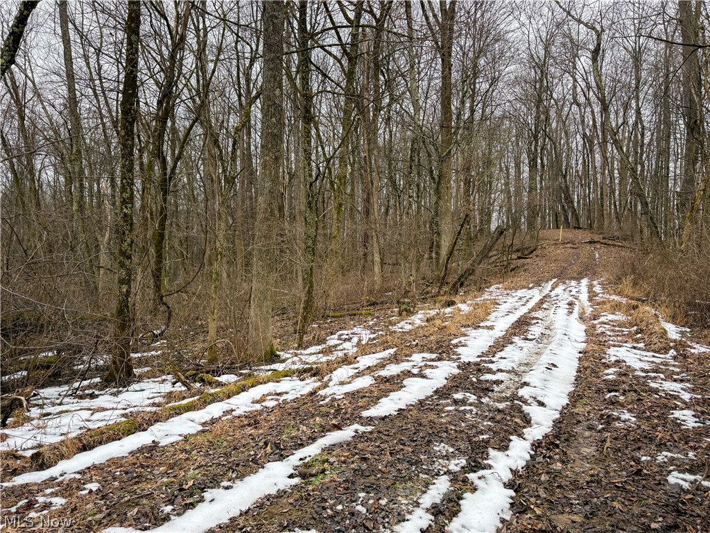 0 Tract 5 Mann Road Graysville OH 45734
