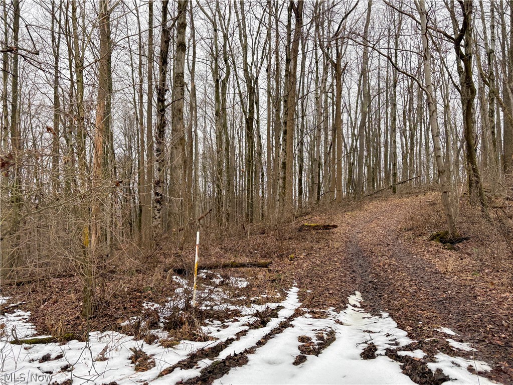 0 Tract 5 Mann Road Graysville OH 45734