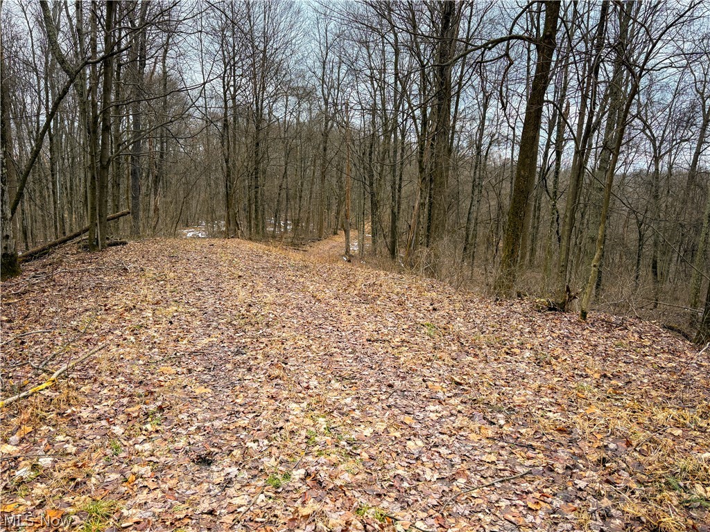 0 Tract 5 Mann Road Graysville OH 45734