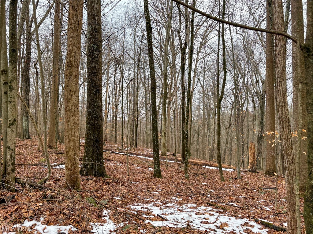 0 Tract 5 Mann Road Graysville OH 45734