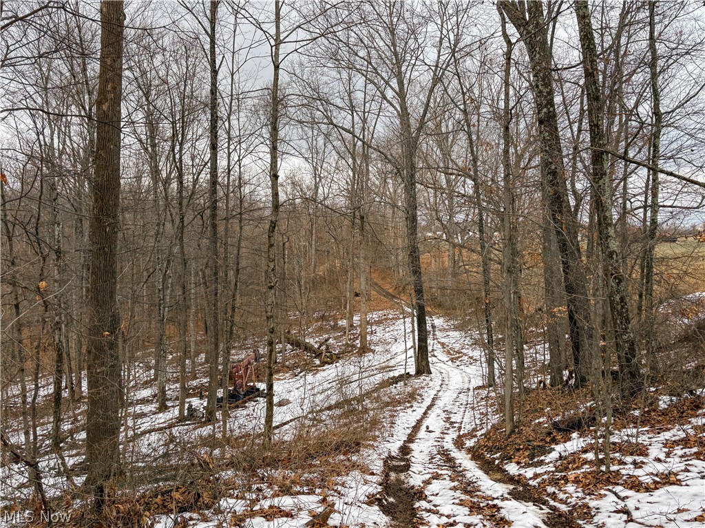 0 Tract 5 Mann Road Graysville OH 45734