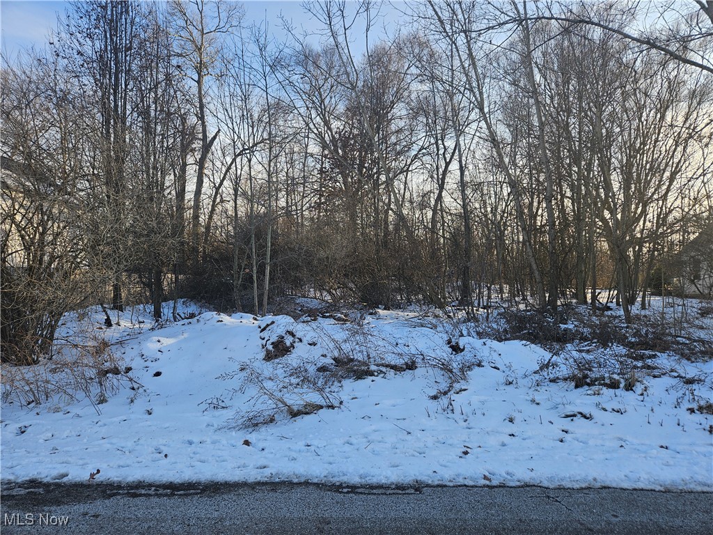 4058 Bayberry Knoll Drive Ravenna OH 44266