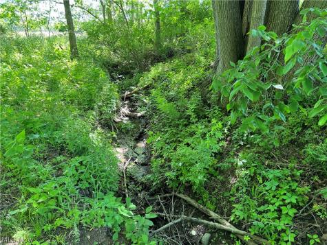 Shaw Road Spencer OH 44275