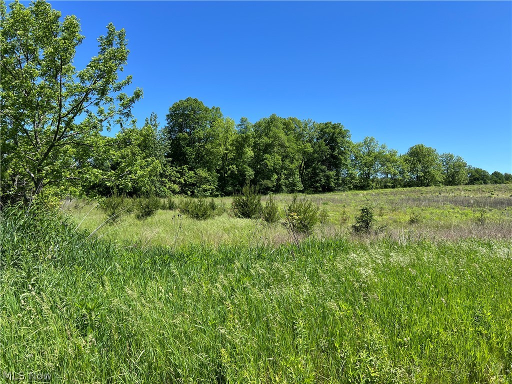 Shaw Road Spencer OH 44275