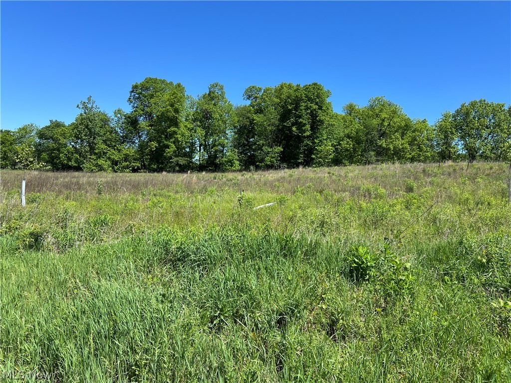 Shaw Road Spencer OH 44275