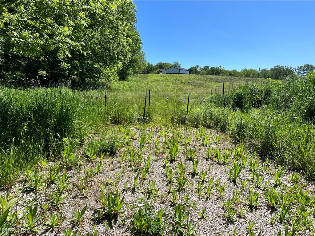 Shaw Road Spencer OH 44275