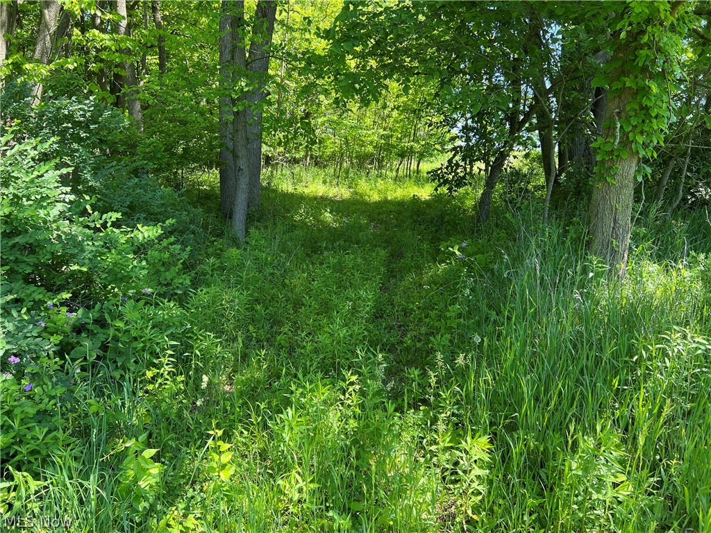 Shaw Road Spencer OH 44275