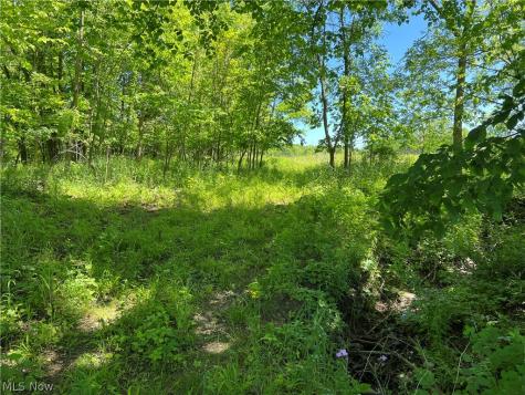 Shaw Road Spencer OH 44275