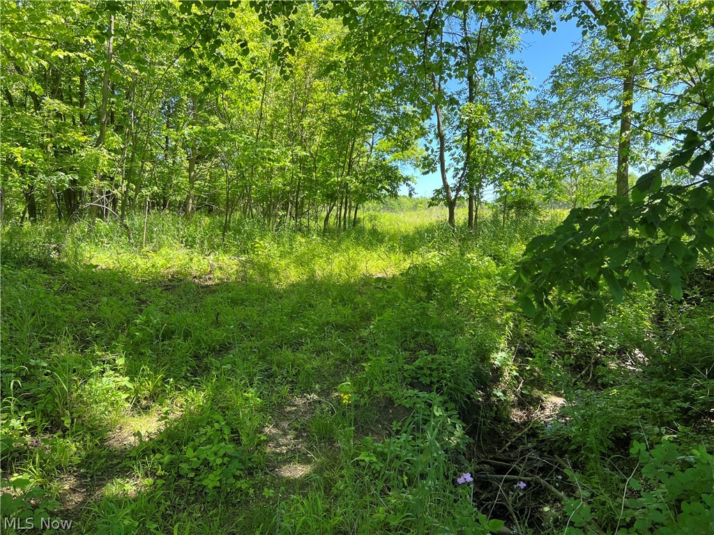 Shaw Road Spencer OH 44275