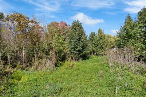 V/l Lot #1 Myers Street Creston OH 44217