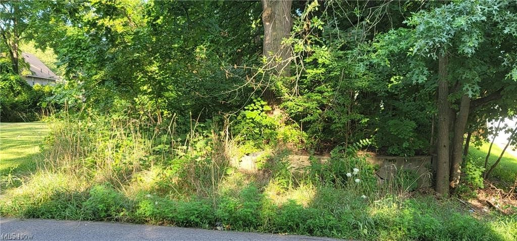 V/l Valencia Drive Cuyahoga Falls OH 44223