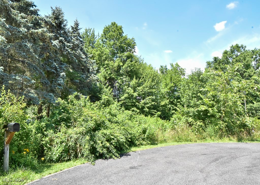 V/l Eddy Court Orwell OH 44076