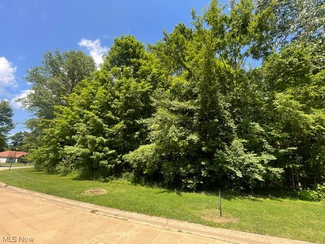 V/l 284 Stony Brook Lane Wakeman OH 44889