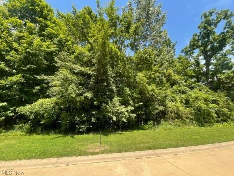 V/l 284 Stony Brook Lane Wakeman OH 44889