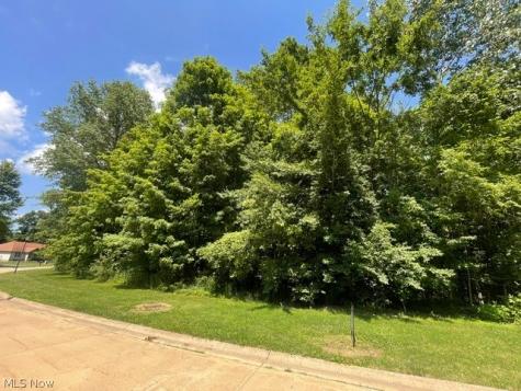 V/l 284 Stony Brook Lane Wakeman OH 44889
