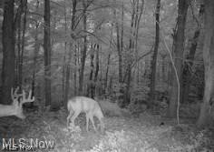 Walker Hill Road Stockport OH 43787