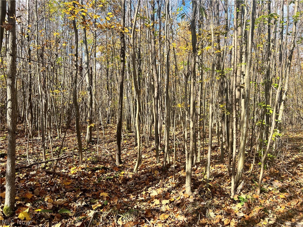 Marrian Road Dorset OH 44032