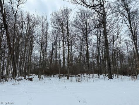 0 Grant Road Howard OH 44903