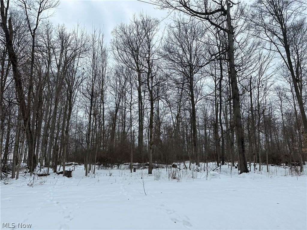 0 Grant Road Howard OH 44903