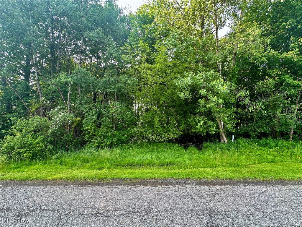 Powder Mill Run Youngstown OH 44505